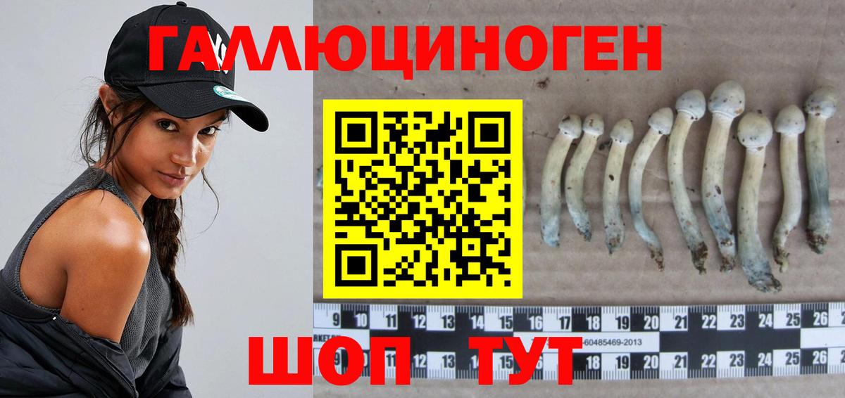 Псилоцибиновые грибы прущие грибы  Вход с VPN  наркотики  Александров 